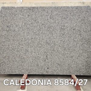 3 CM Caledonia 8584